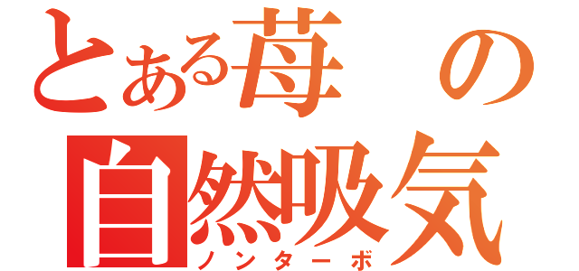 とある苺の自然吸気（ノンターボ）