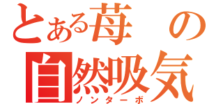 とある苺の自然吸気（ノンターボ）