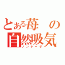 とある苺の自然吸気（ノンターボ）