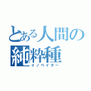 とある人間の純粋種（イノベイター）