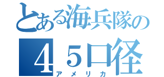 とある海兵隊の４５口径（アメリカ）