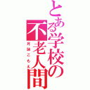 とある学校の不老人間（月詠こもえ）