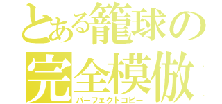 とある籠球の完全模倣（パーフェクトコピー）