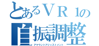 とあるＶＲ１の自振調整（アマウントアジャストメント）