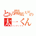 とある陽凪大好きの太一くん（インデックス）