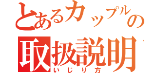 とあるカップルの取扱説明書（いじり方）