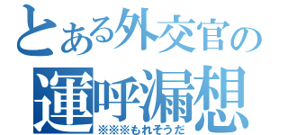 とある外交官の運呼漏想陀（※※※もれそうだ）