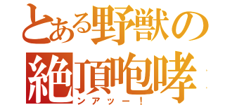 とある野獣の絶頂咆哮（ンアッー！）