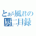 とある風君の厨二目録（どや？）