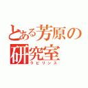 とある芳原の研究室（ラビリンス）