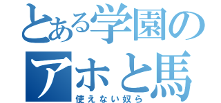 とある学園のアホと馬鹿達（使えない奴ら）