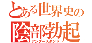 とある世界史の陰部勃起（アンダースタンド）