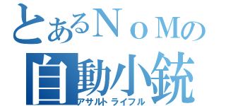 とあるＮｏＭの自動小銃（アサルトライフル）