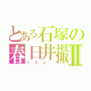 とある石塚の春日井撮りⅡ（ｔｈａ ）