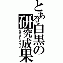 とある白黒の研究成果（片付けしようよ）