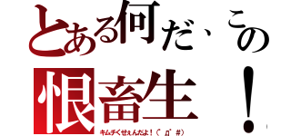 とある何だ、この恨畜生！（キムチくせぇんだよ！（°д°＃））