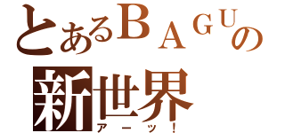 とあるＢＡＧＵ☆の新世界（アーッ！）