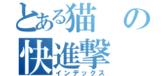 とある猫の快進撃（インデックス）