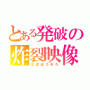 とある発破の炸裂映像（なまほうそう）