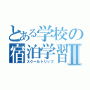 とある学校の宿泊学習Ⅱ（スクールトリップ）