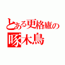 とある更格廬の啄木鳥（）