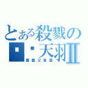 とある殺戮の弒˙天羽舞Ⅱ（蠢蠢又單蠢）