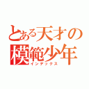 とある天才の模範少年（インデックス）