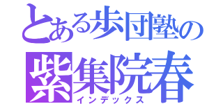 とある歩団塾の紫集院春陽（インデックス）