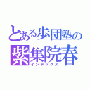 とある歩団塾の紫集院春陽（インデックス）