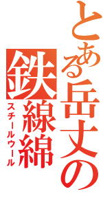 とある岳丈の鉄線綿（スチールウール）