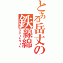 とある岳丈の鉄線綿（スチールウール）