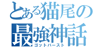 とある猫尾の最強神話（ゴットバースト）