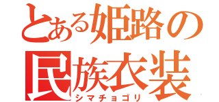 とある姫路の民族衣装（シマチョゴリ）