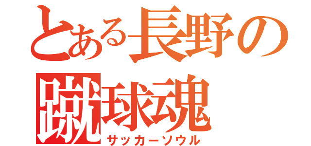 とある長野の蹴球魂（サッカーソウル）