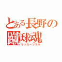 とある長野の蹴球魂（サッカーソウル）