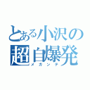 とある小沢の超自爆発（メガンテ）