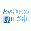 とある池内の原田さゆり（）