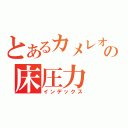 とあるカメレオンの床圧力（インデックス）