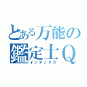 とある万能の鑑定士Ｑ（インデックス）