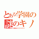 とある学園の謎のキノ（謎の美少女ガンファイターライダーキノ）