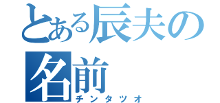 とある辰夫の名前（チンタツオ）