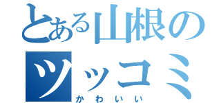 とある山根のツッコミ（かわいい）