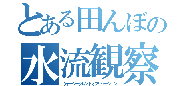 とある田んぼの水流観察（ウォータークレントオブザベーション）