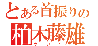 とある首振りの柏木藤雄（やい‼）