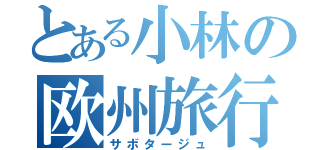 とある小林の欧州旅行（サボタージュ）