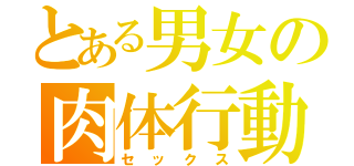 とある男女の肉体行動（セックス）