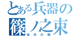 とある兵器の篠ノ之束（生みの親）