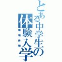 とある中学生の体験入学（職場体験）