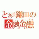 とある鎌田の金融金融（かまだ）