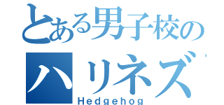 とある男子校のハリネズミ（Ｈｅｄｇｅｈｏｇ）